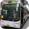 Transdev white liveried buses